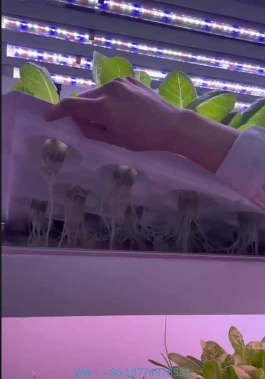 Hydroponic Tower - f Greenhouse Agricultural Equipment Grow Mushroom