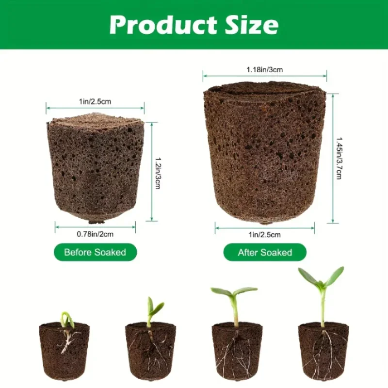 Indoor Garden Kit - Seedling Starter Sponge Kit for Hydroponic