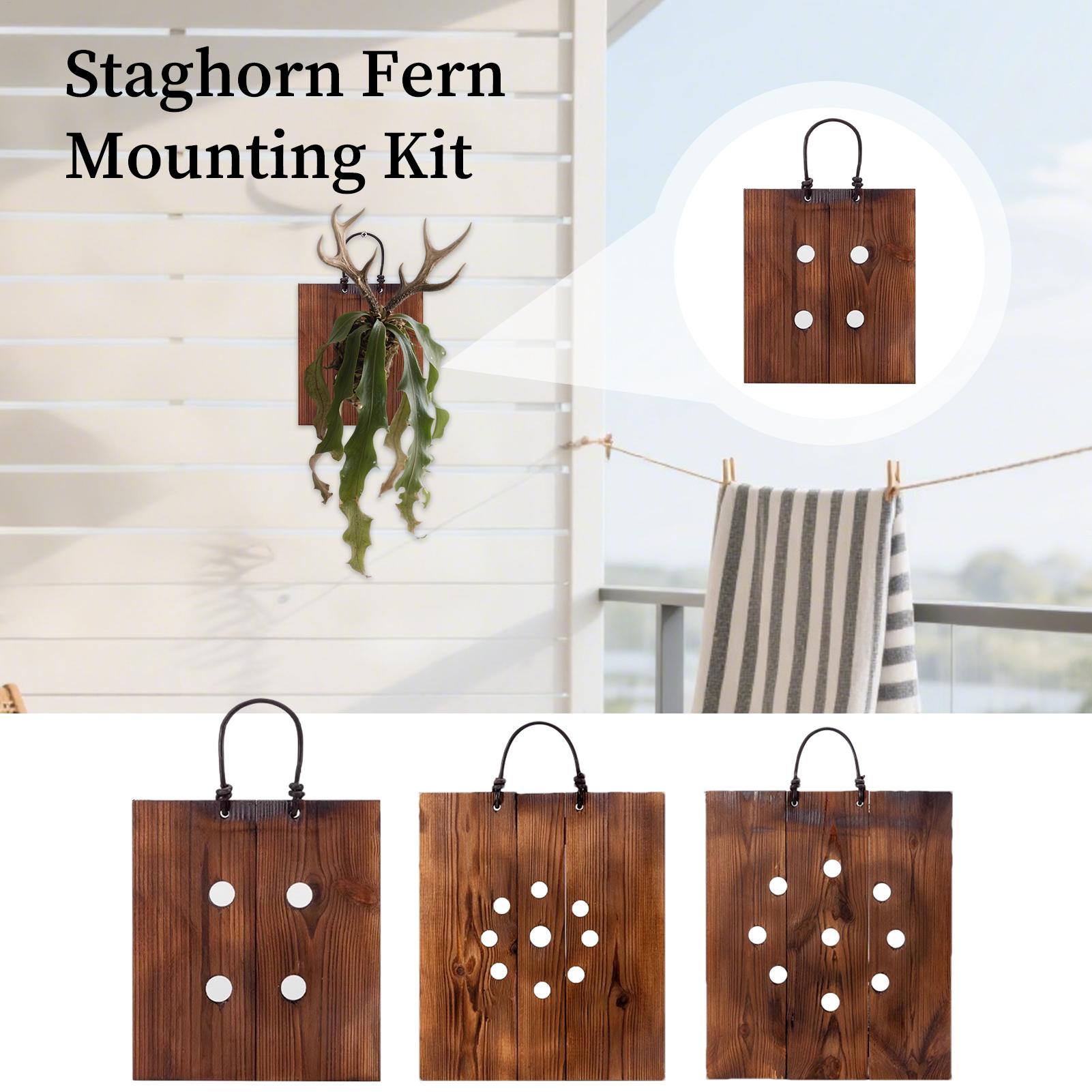 Indoor Garden Kit - Staghorn Fern Wall Mount Board Wooden