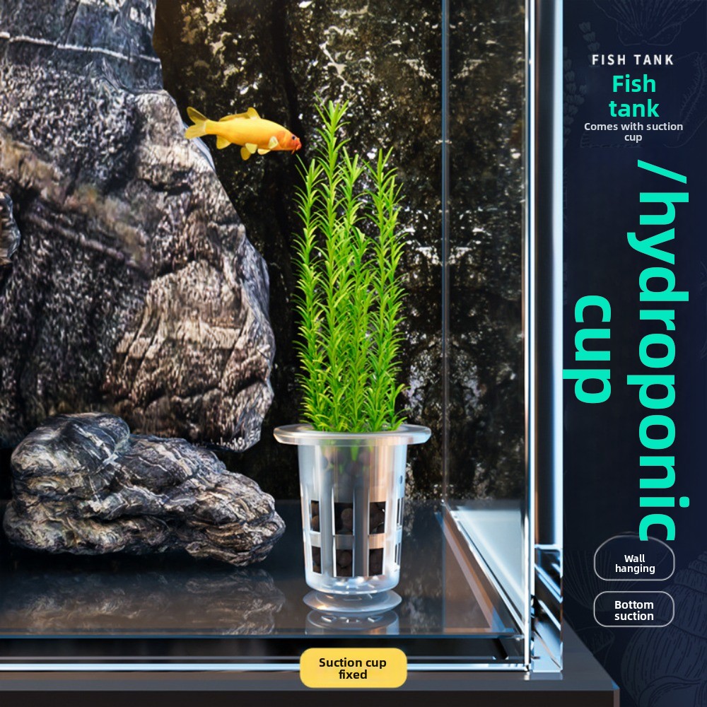 10Pcs Transparent Plant Hydrop - Hydroponic Grow Pod ulasan dan harga