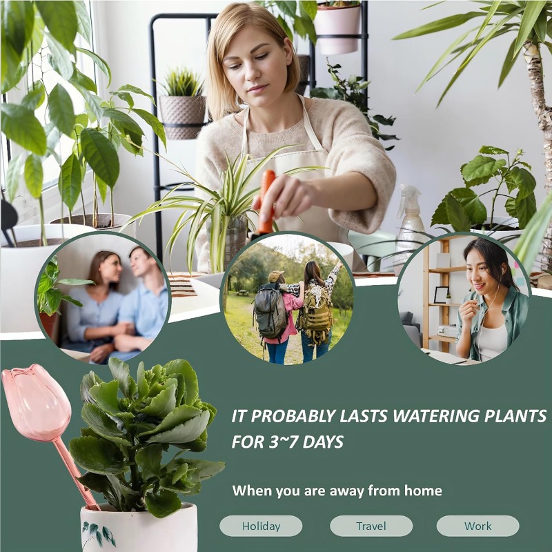 Pink Tulip Plant Watering Ball - Plant Sensor ulasan dan harga