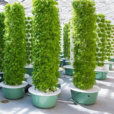 Aeroponics Towers Garden Syste - Hydroponic Tower ulasan dan harga