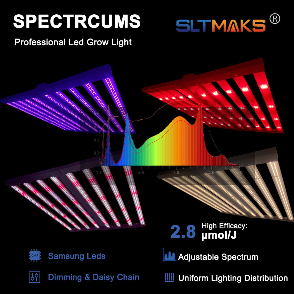 US Stock PPFD 2800 Umol/S Led  - Grow Light Led ulasan dan harga