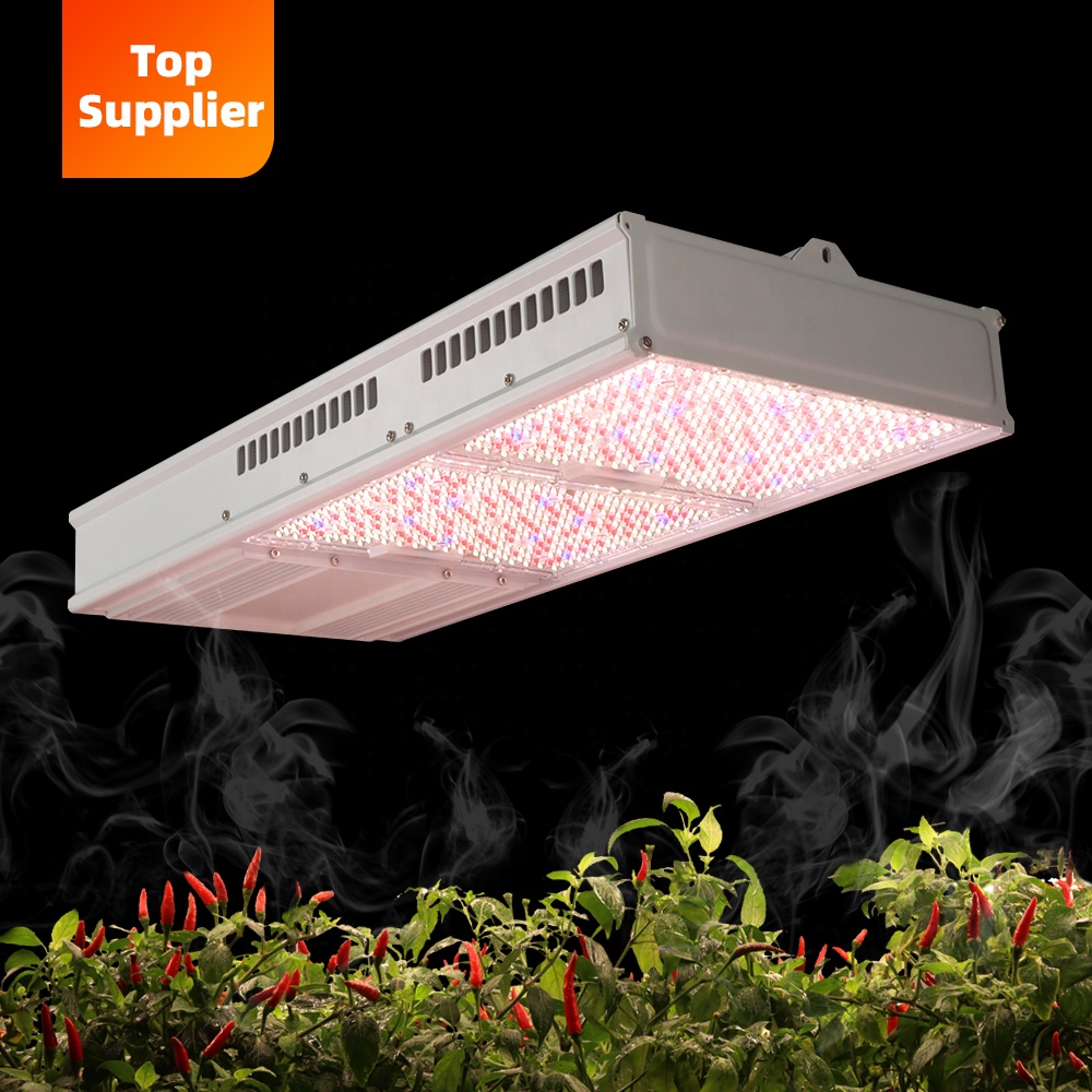 Cost-Effective 600W 800W Topli - Grow Light Led ulasan dan harga