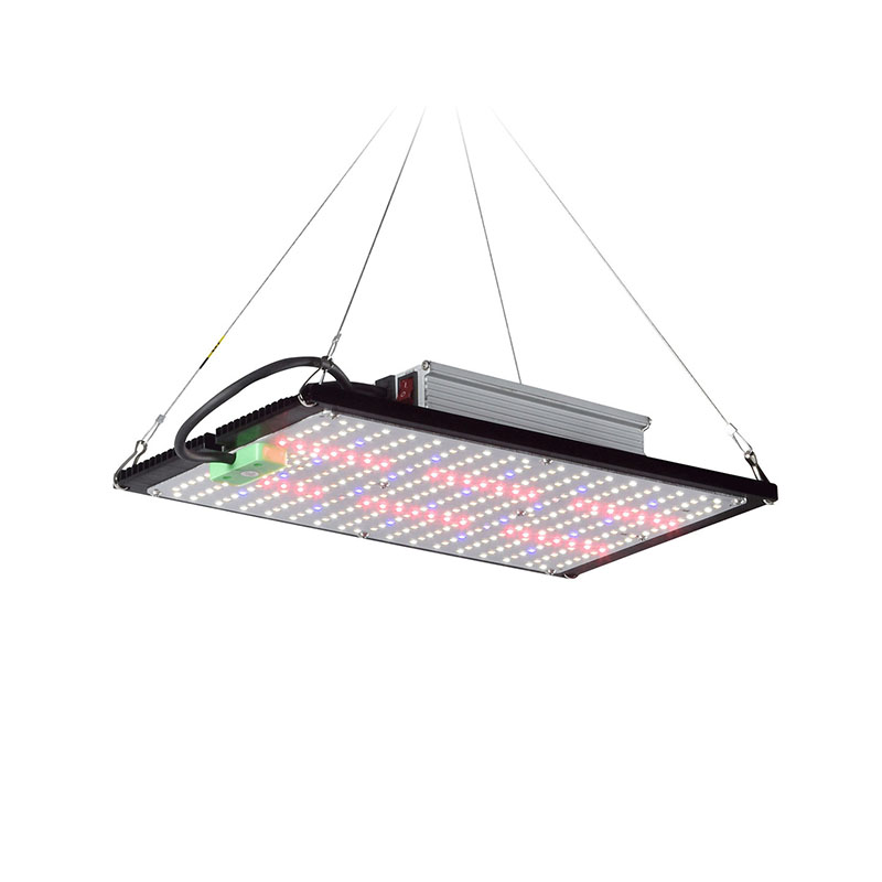 LED Quantum‑Board Grow Light F - Grow Light Led ulasan dan harga