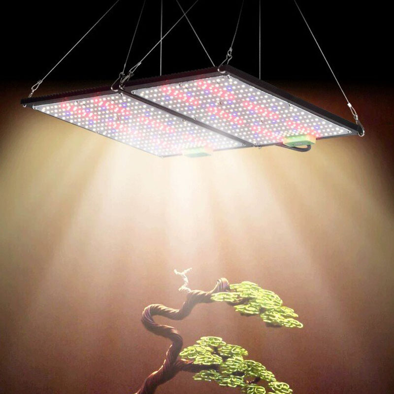 LED Quantum‑Board Grow Light F - Grow Light Led ulasan dan harga