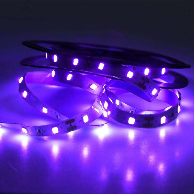 UV LED Ultraviolet Light, Blac - Grow Light Led ulasan dan harga