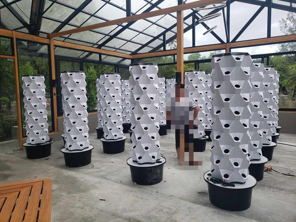 Greenhouse Vertical Farming Hy - Hydroponic Tower ulasan dan harga