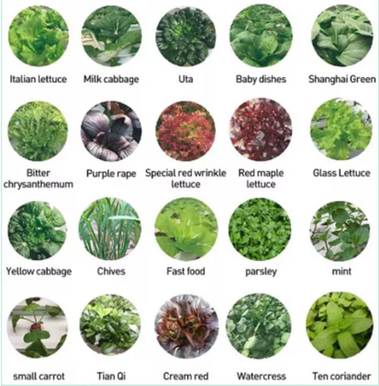 Home Use Vertical Hydroponic T - Hydroponic Tower ulasan dan harga