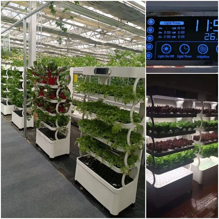 Home Use Vertical Hydroponic T - Hydroponic Tower ulasan dan harga