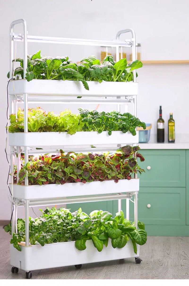 Home Use Vertical Hydroponic T - Hydroponic Tower ulasan dan harga