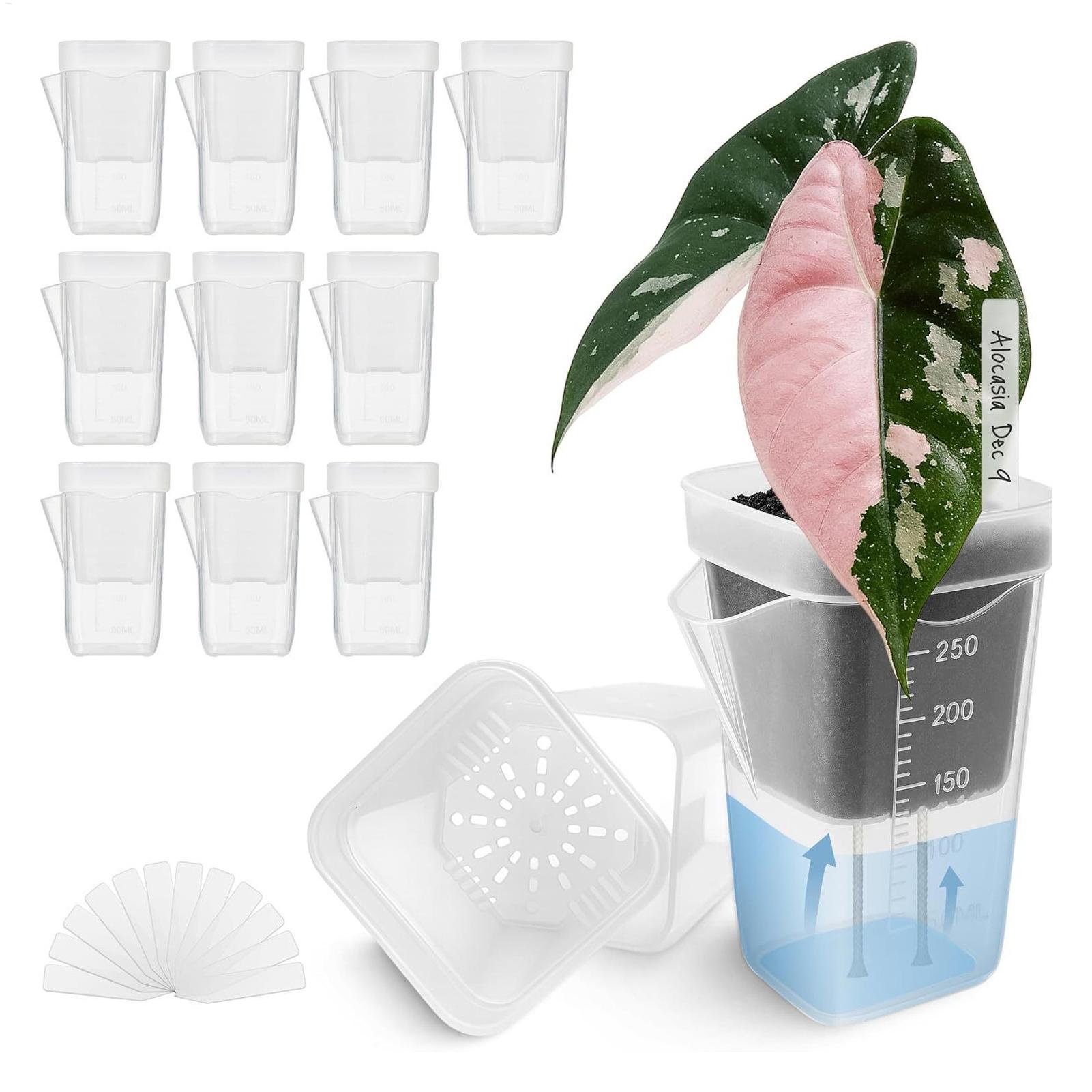 10 Pieces Indoor Plant Pot Tra - Hydroponic Grow Pod ulasan dan harga