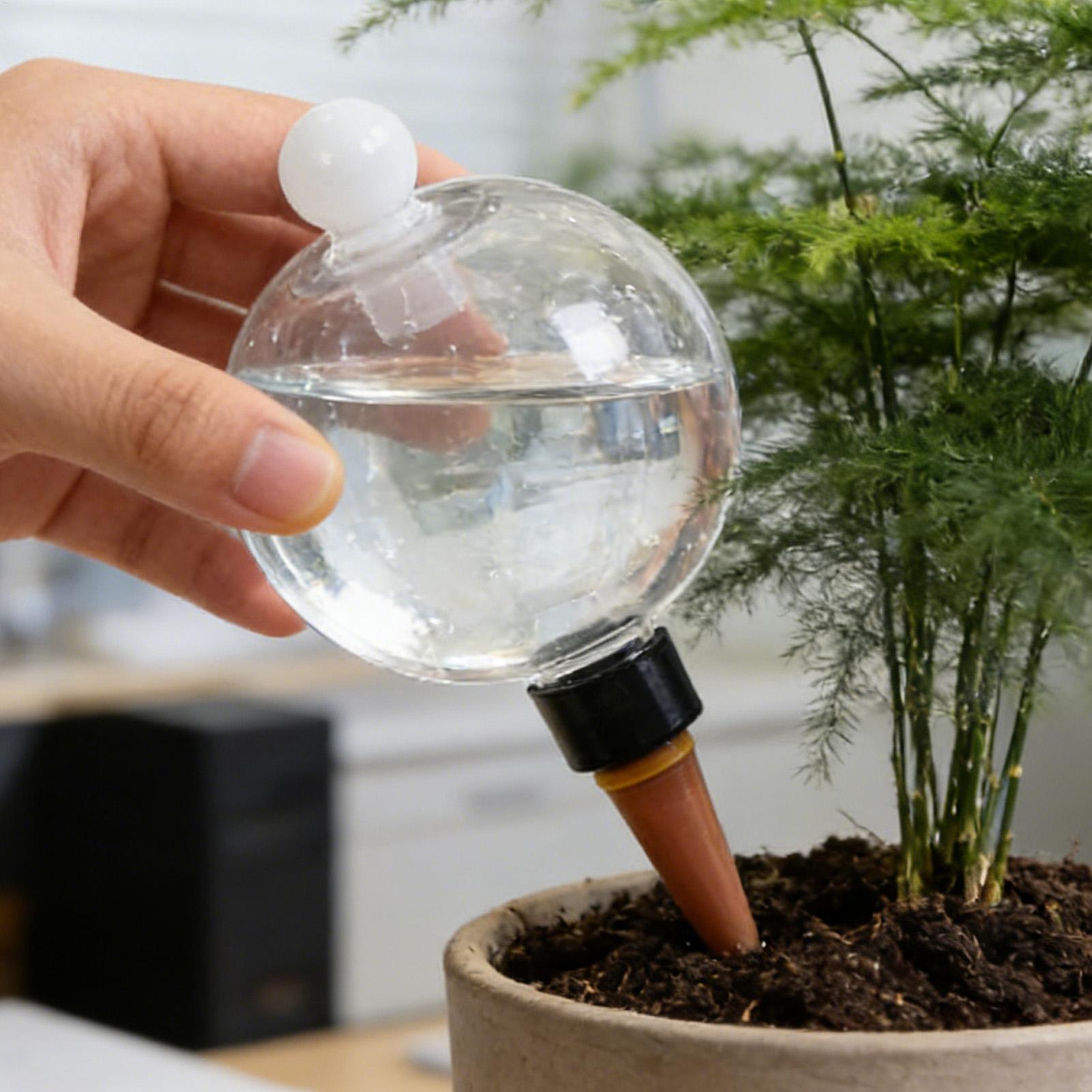 Plant Watering Bulbs 4pcs 500m - Plant Sensor ulasan dan harga