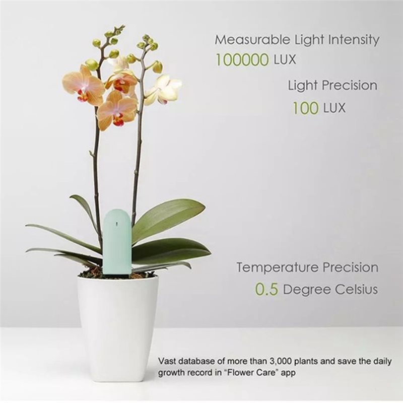 Flower Monitor 4Pcs Smart Test - Plant Sensor ulasan dan harga