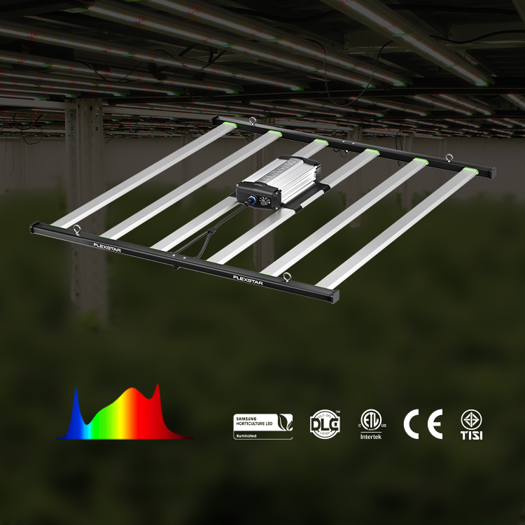 Yields up to 3.75Lbs US Stock  - Grow Light Led ulasan dan harga