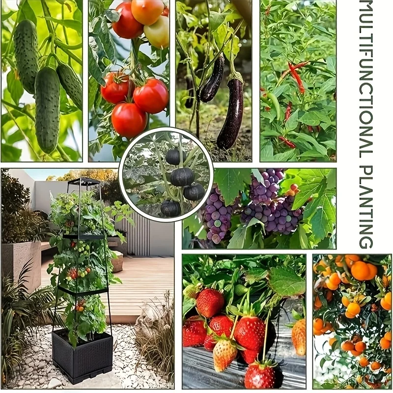 Tomato tower with self waterin - Hydroponic Tower ulasan dan harga