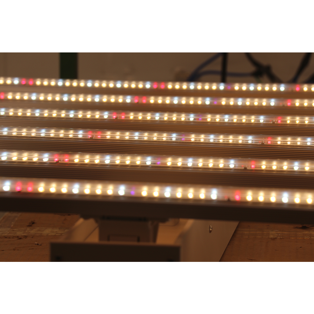 2023 Drop-shipping Factory Dir - Grow Light Led ulasan dan harga