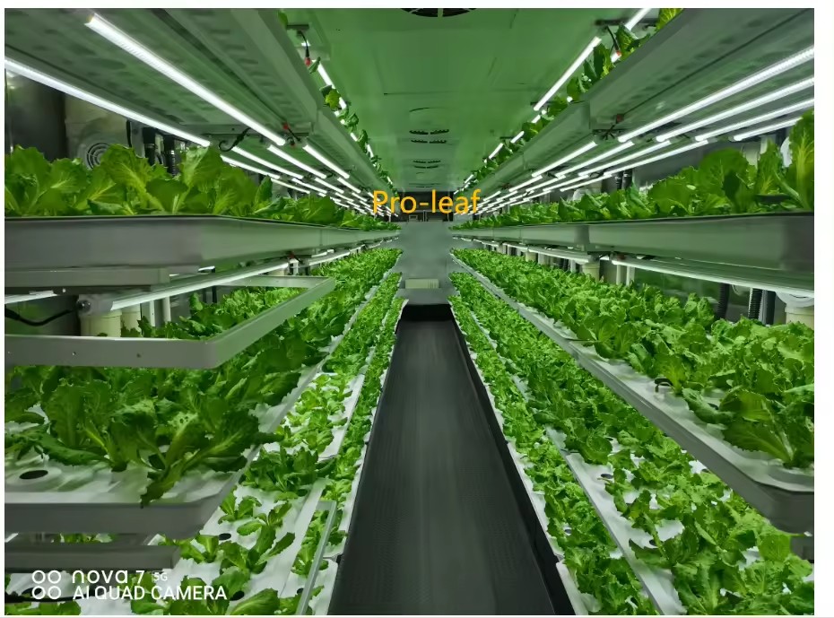 f Greenhouse Agricultural Equi - Hydroponic Tower ulasan dan harga