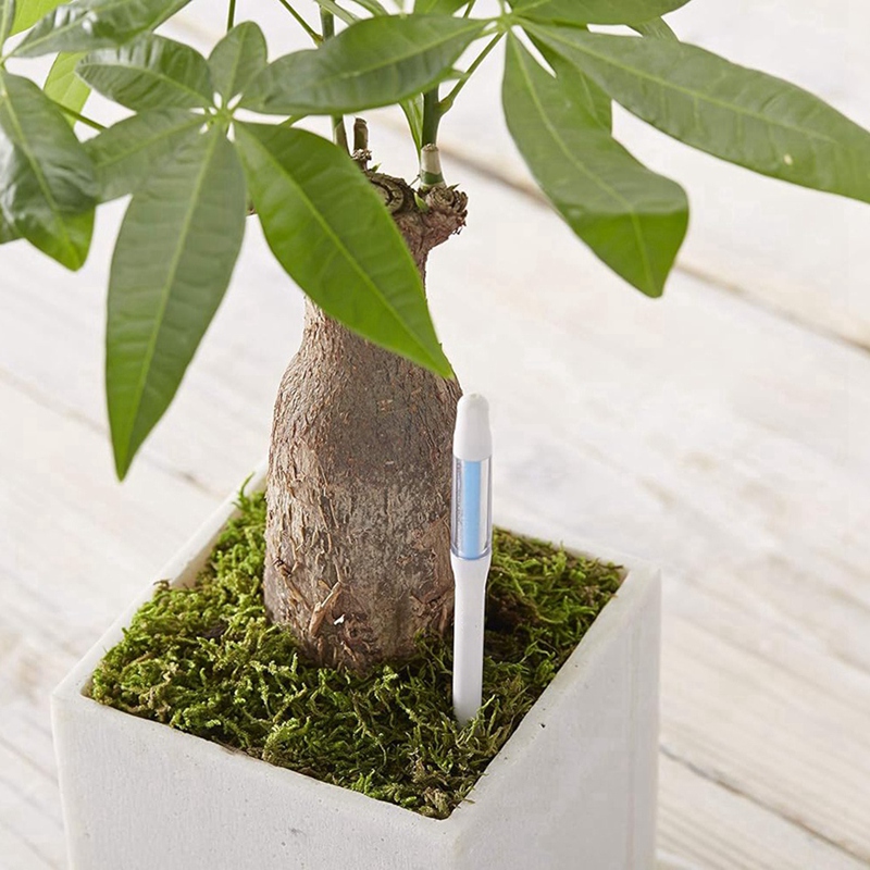 Aquameter, 5pcs, Plant Soil Mo - Plant Sensor ulasan dan harga