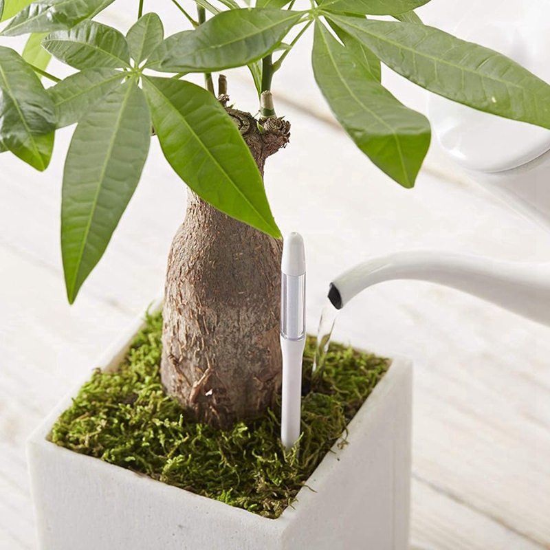Aquameter, 5pcs, Plant Soil Mo - Plant Sensor ulasan dan harga