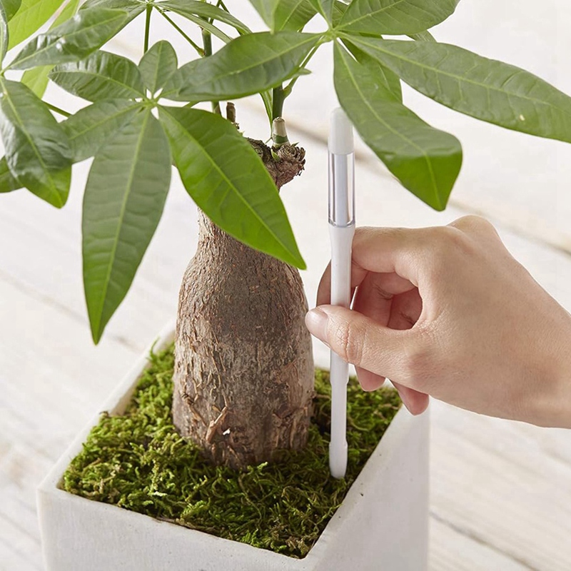 Aquameter, 5pcs, Plant Soil Mo - Plant Sensor ulasan dan harga
