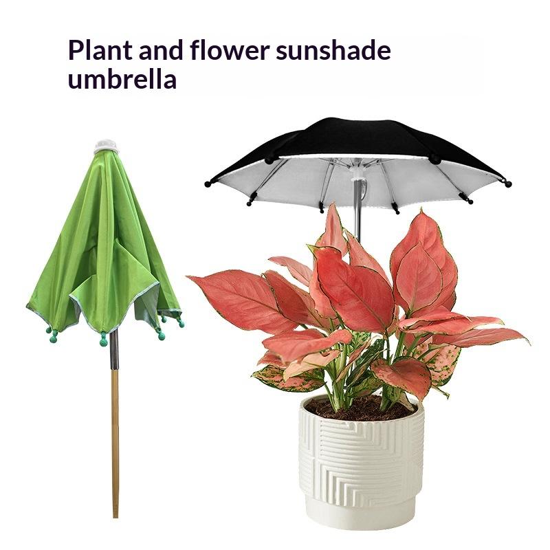 Adjustable Height Plant Umbrel - Plant Monitor ulasan dan harga