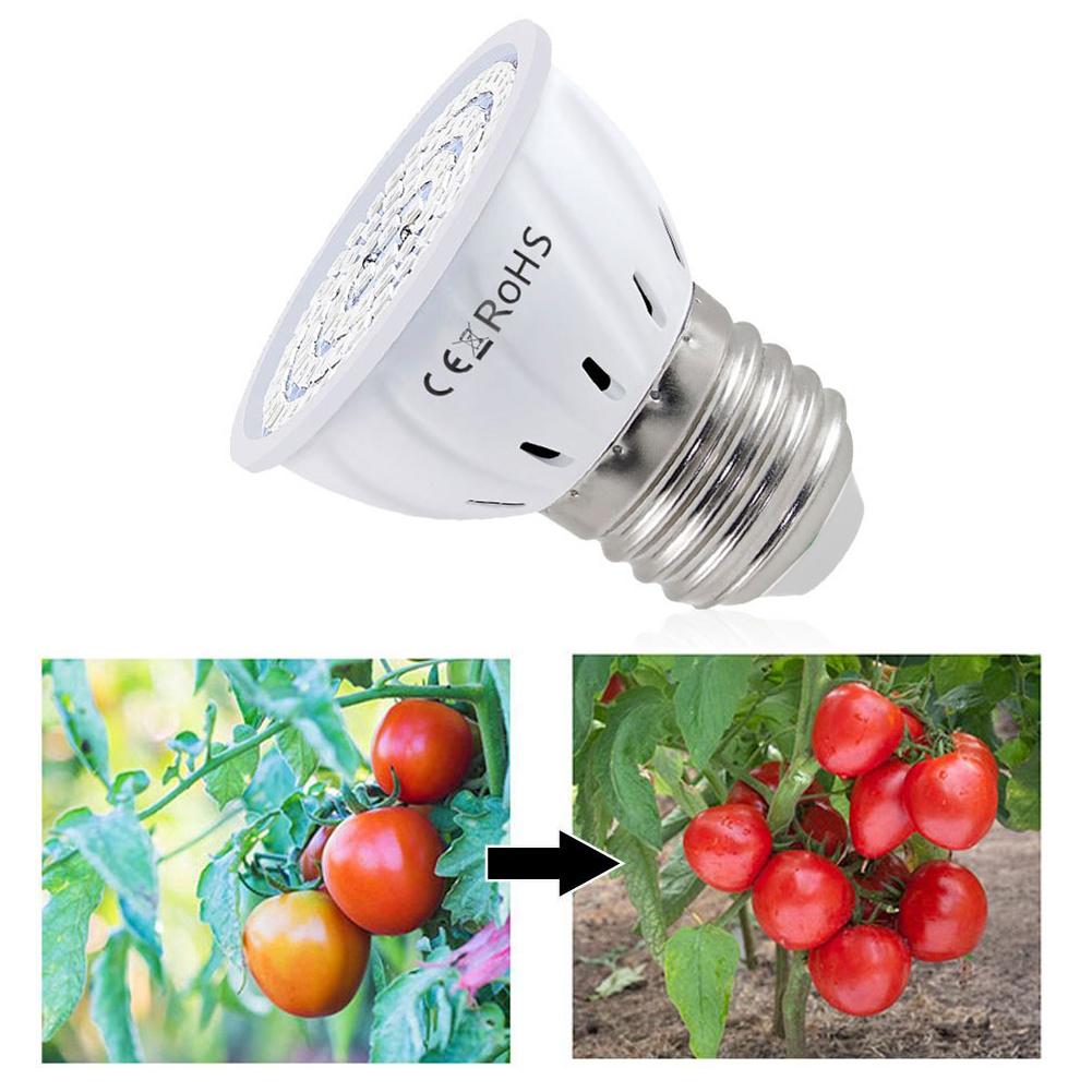 LED Grow Bulb E27 60 80LEDs Fu - Plant Grow Light Full Spectrum ulasan dan harga