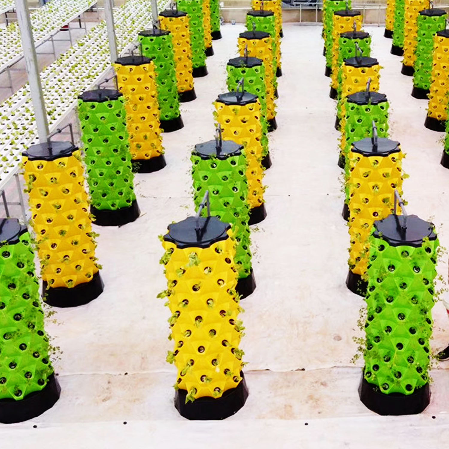 NEW Hydroponics Vertical Garde - Indoor Garden Kit ulasan dan harga