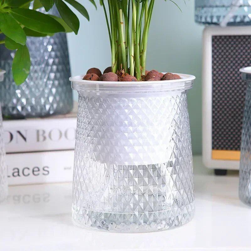 2024 Transparent Self Watering - Hydroponic Grow Pod ulasan dan harga