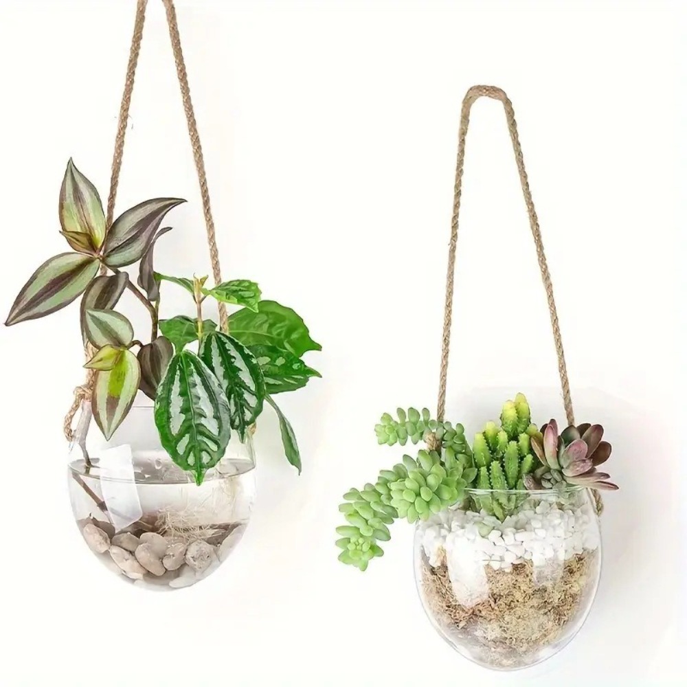 Transparent Hydroponic Hanging - Hydroponic Grow Pod ulasan dan harga