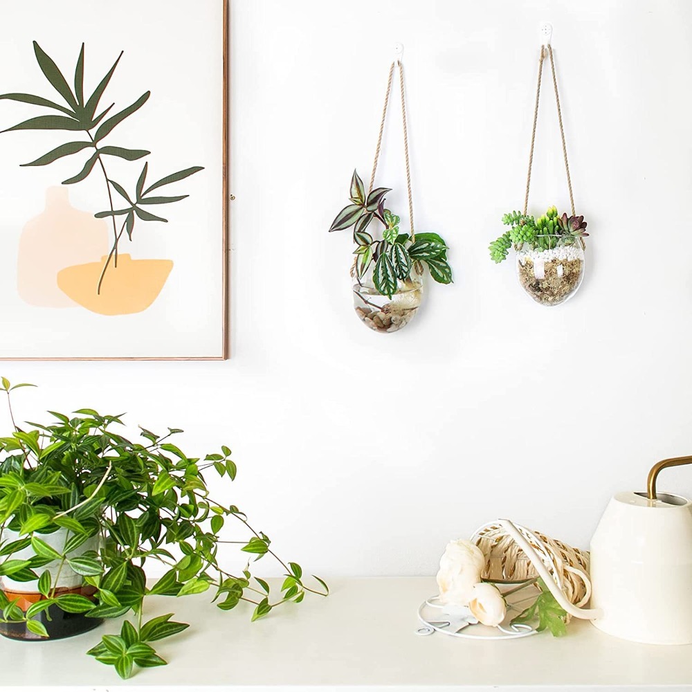 Transparent Hydroponic Hanging - Hydroponic Grow Pod ulasan dan harga