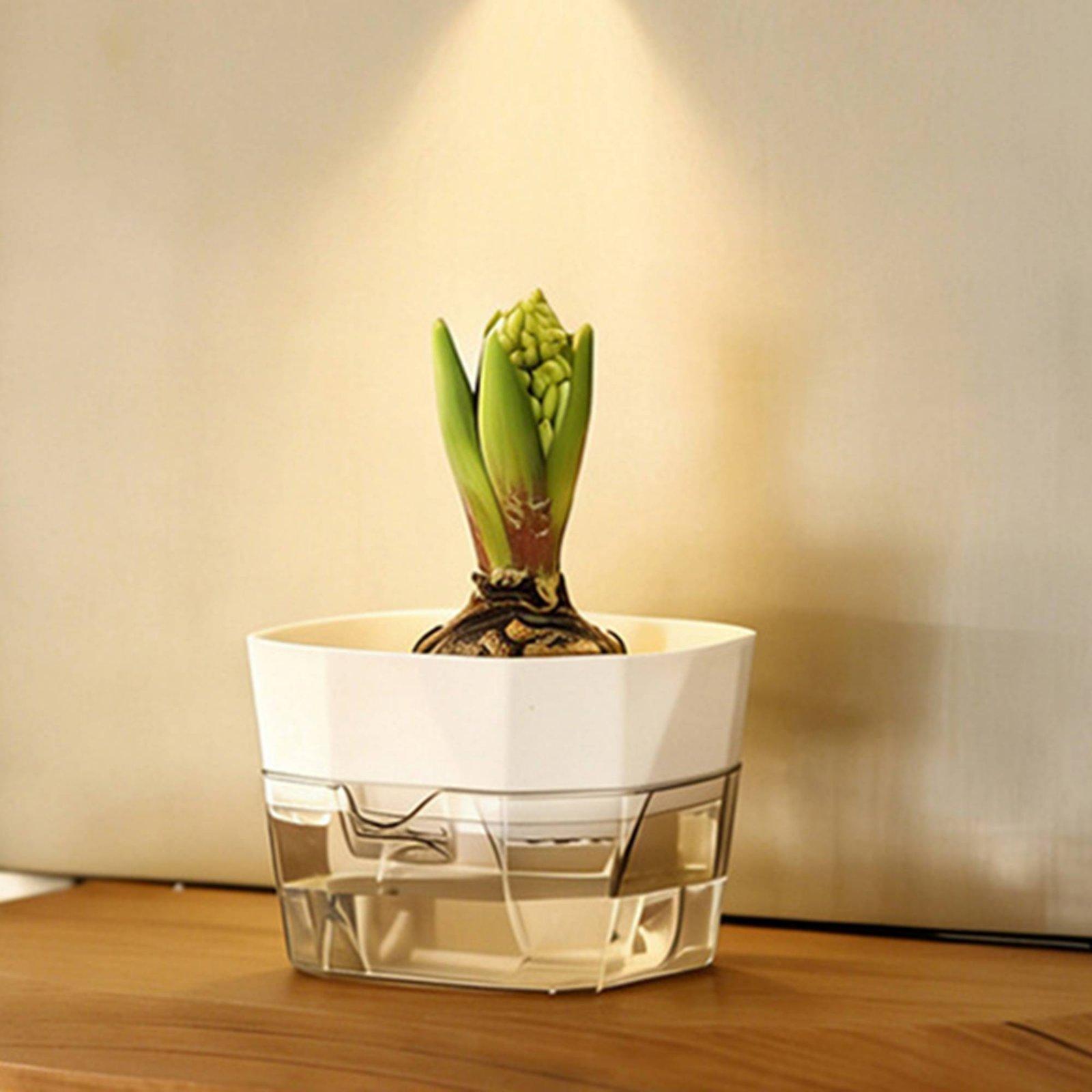 Hydroponic Vase Two Layer Self - Self Watering Planter ulasan dan harga