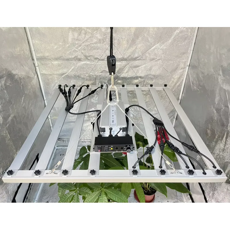 600W Grow Light Driver Inventr - Grow Light Led ulasan dan harga