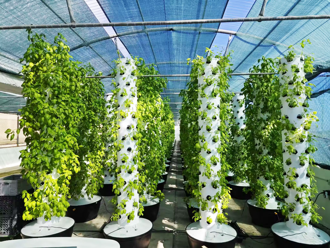 High Quality Easy Install Smal - Hydroponic Tower ulasan dan harga