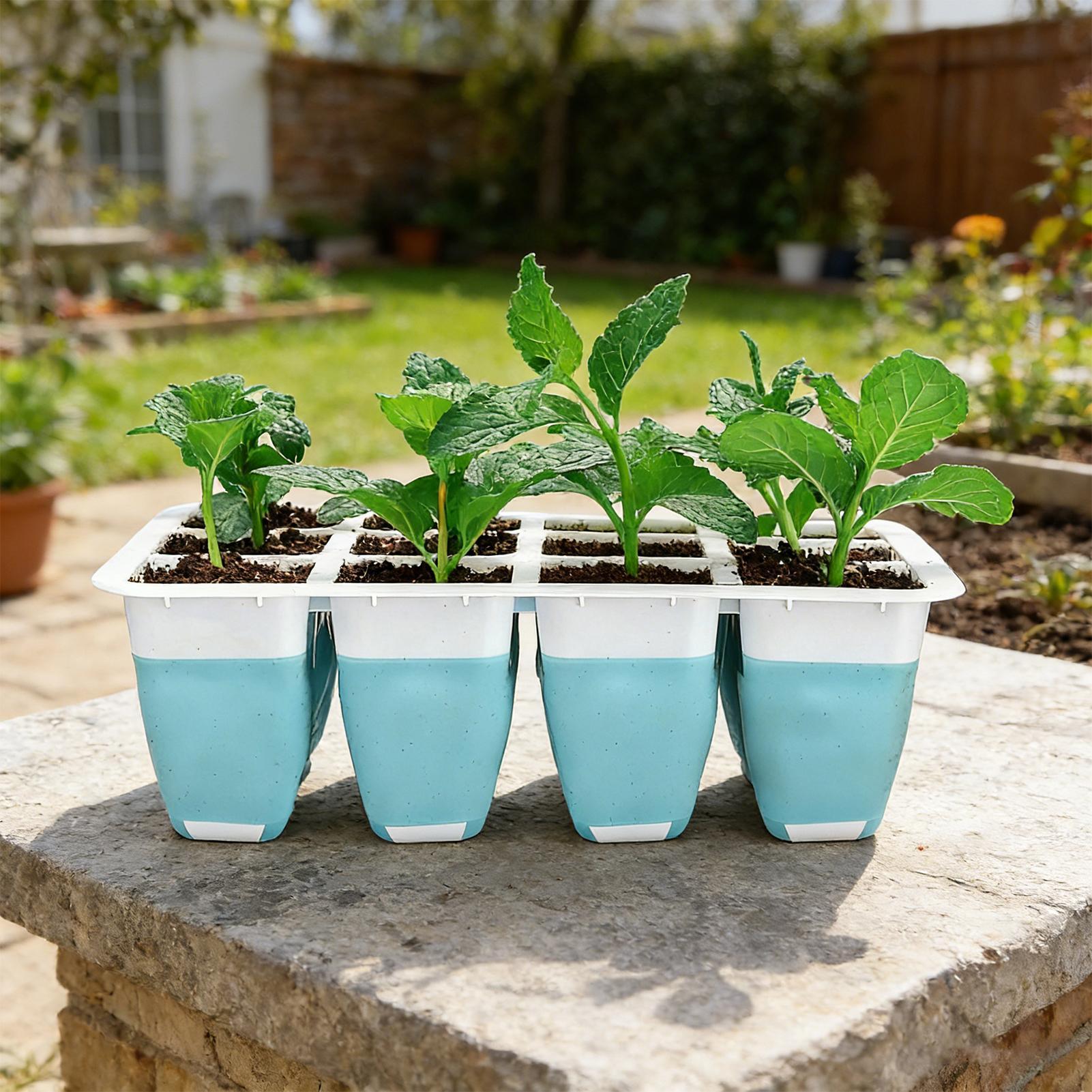 5 Pack Silicone Seed Starter T - Indoor Garden Kit ulasan dan harga