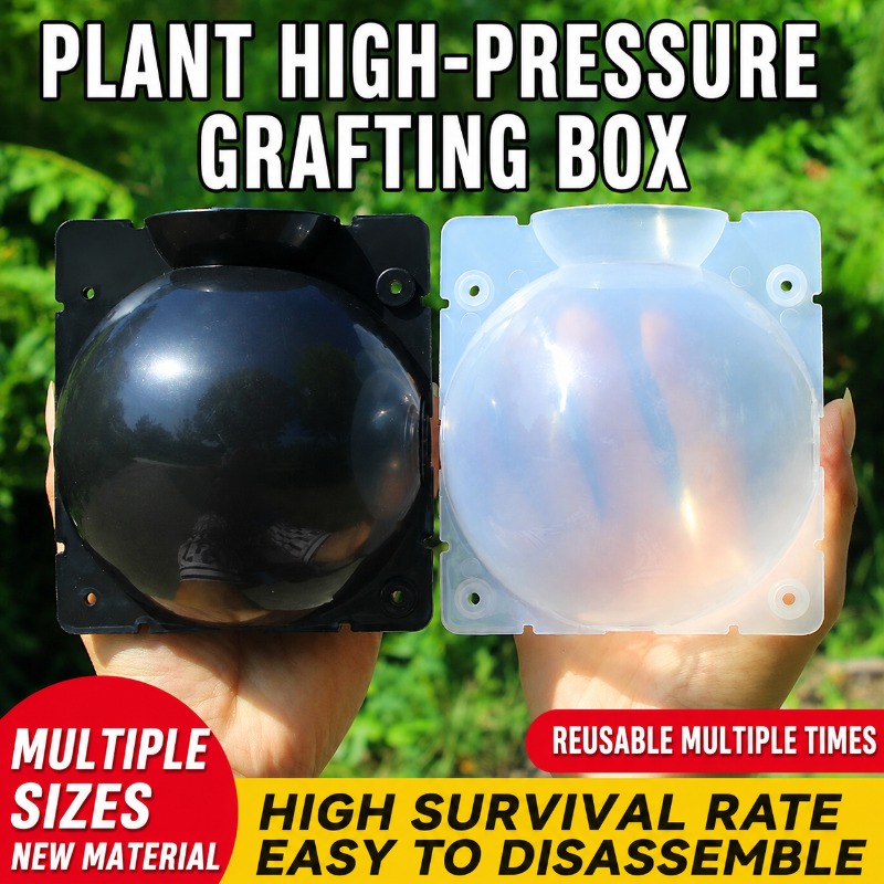 10pcs Plant Propagation Kit: H - Indoor Garden Kit ulasan dan harga