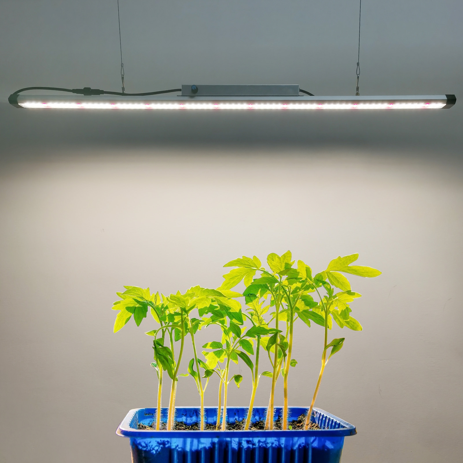 100W Full Spectrum LED Grow Li - Plant Grow Light Full Spectrum ulasan dan harga
