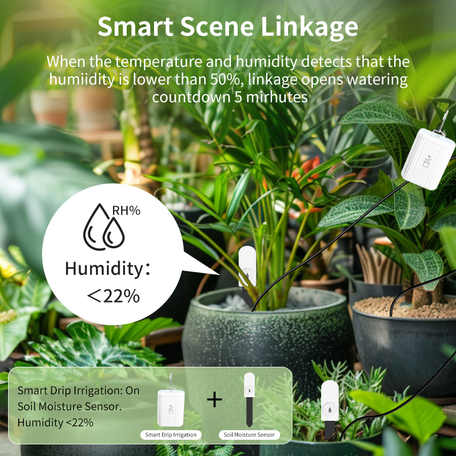Smart Zigbee 3.0 Soil Tester H - Plant Monitor ulasan dan harga