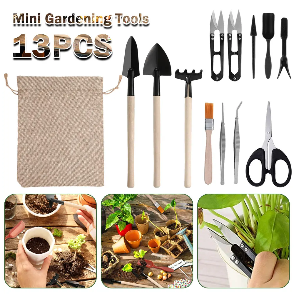 13PCS Succulent Plants Tool Se - Indoor Garden Kit ulasan dan harga