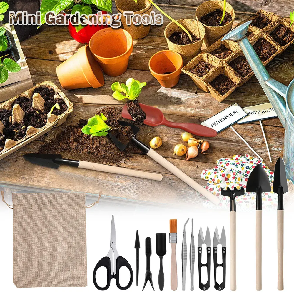 13PCS Succulent Plants Tool Se - Indoor Garden Kit ulasan dan harga