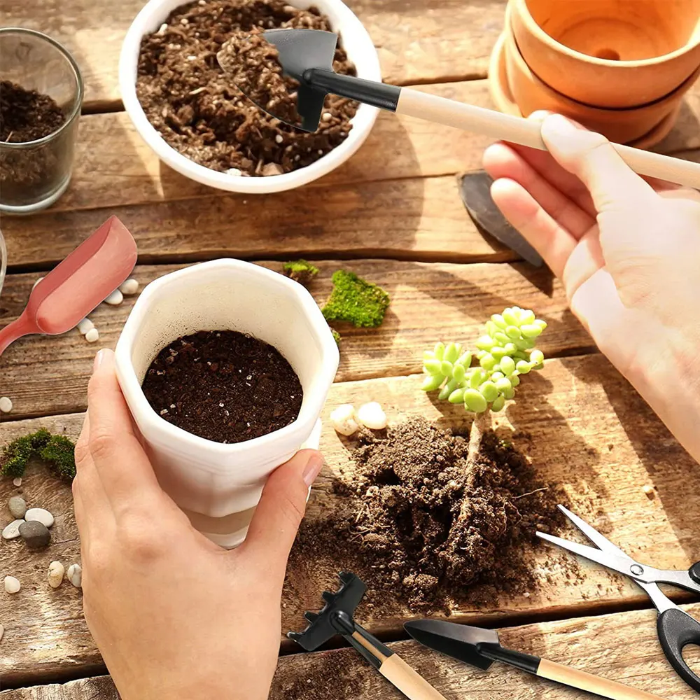 13PCS Succulent Plants Tool Se - Indoor Garden Kit ulasan dan harga
