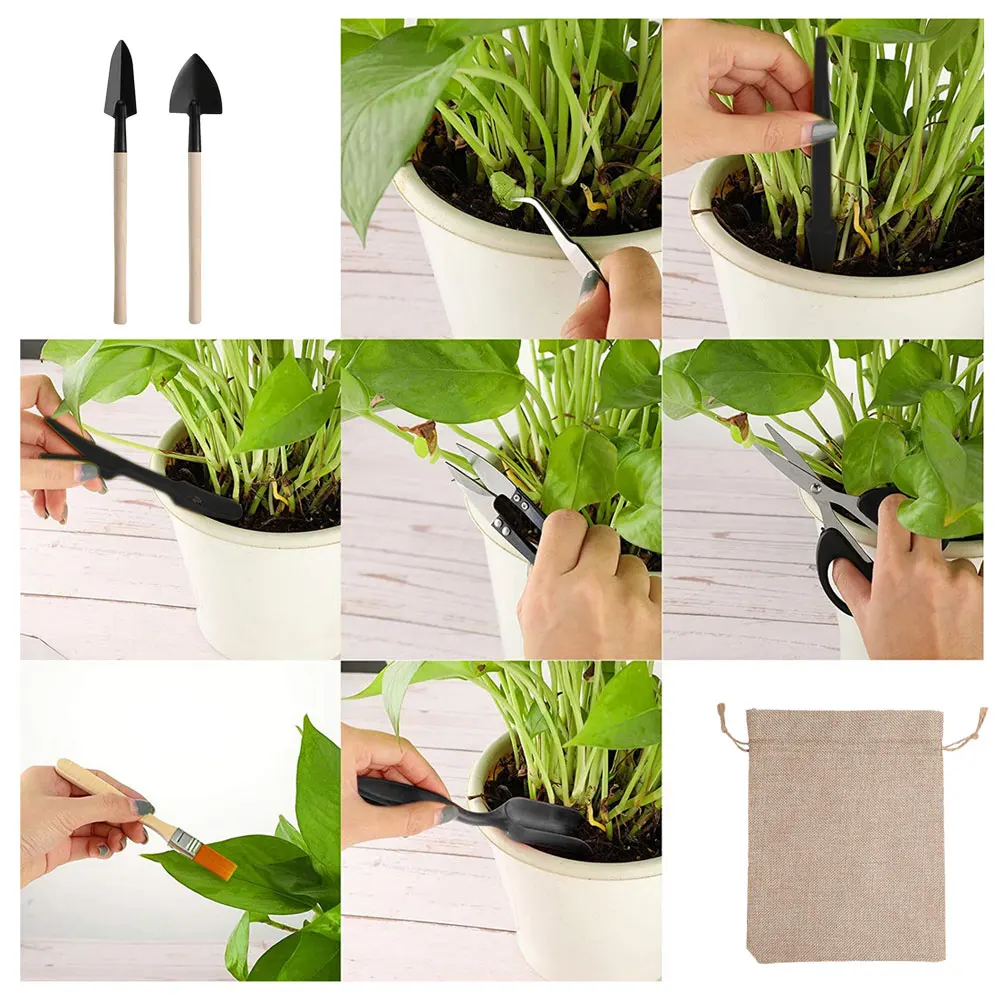 13PCS Succulent Plants Tool Se - Indoor Garden Kit ulasan dan harga