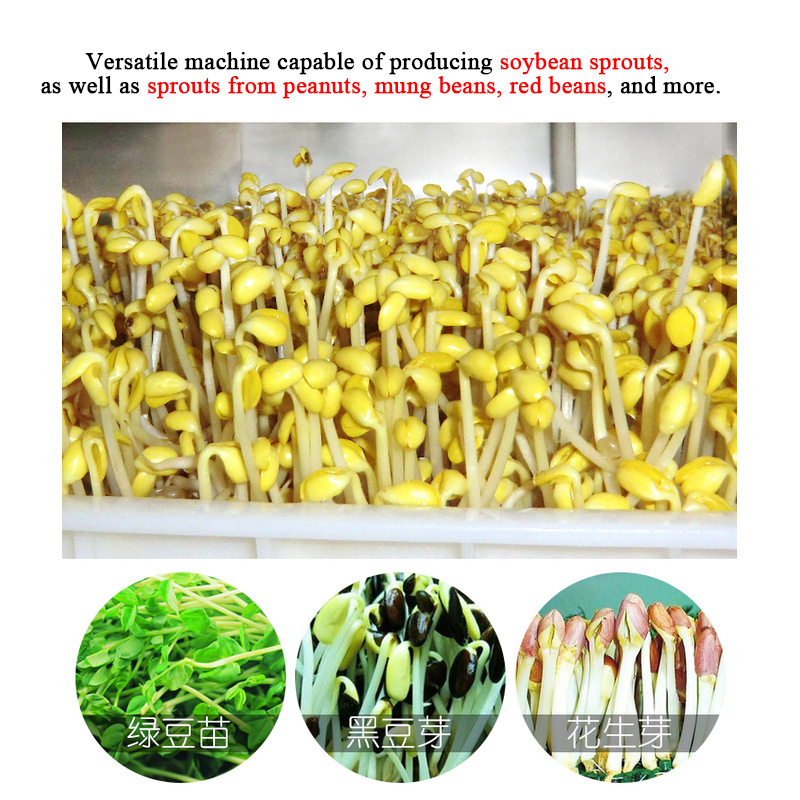 Intelligent High Multi-Sprout  - Automatic Watering ulasan dan harga