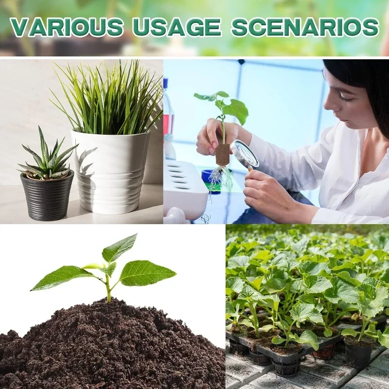 Seedling Starter Sponge Kit fo - Indoor Garden Kit ulasan dan harga