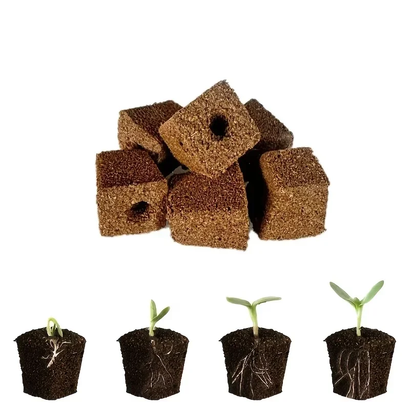 Seedling Starter Sponge Kit fo - Indoor Garden Kit ulasan dan harga