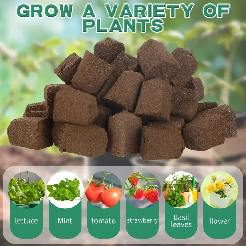 Seedling Starter Sponge Kit fo - Indoor Garden Kit ulasan dan harga