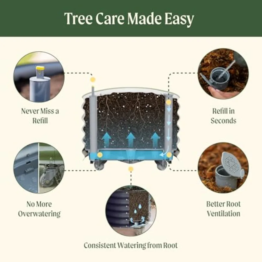 Rolling Citrus Tree Planter Ge - Self Watering Planter ulasan dan harga