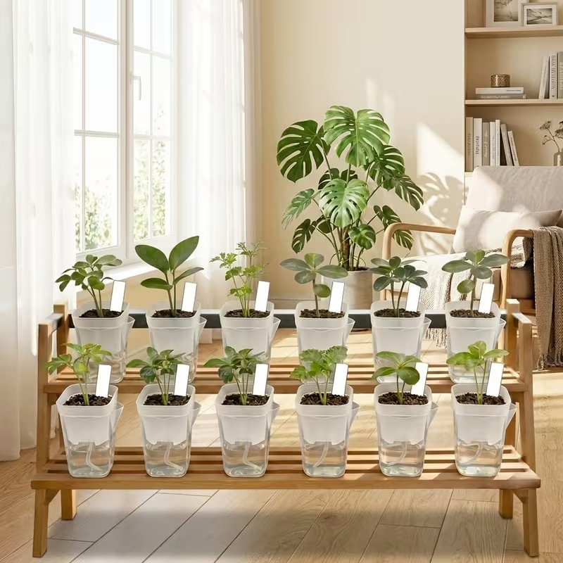 16/32 Pack Self-Watering Plant - Hydroponic Grow Pod ulasan dan harga