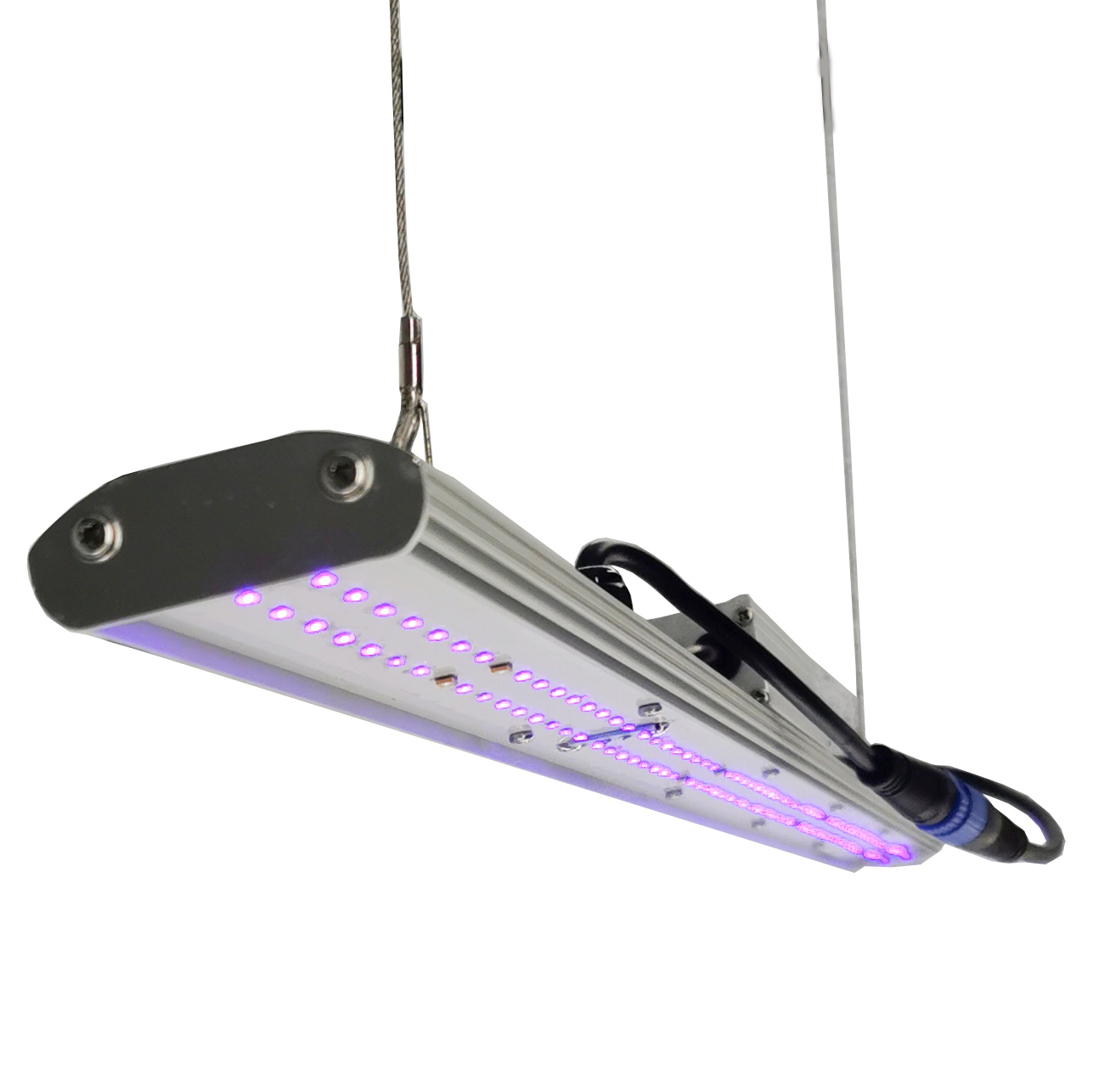 DANSE LED Manual Dimmer LED Gr - Grow Light Led ulasan dan harga