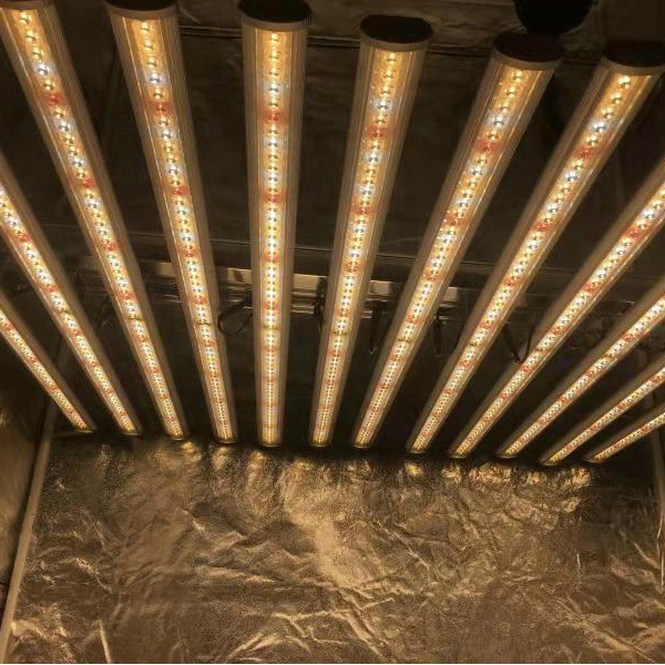 LUX China Factory Led Plant Li - Grow Light Led ulasan dan harga